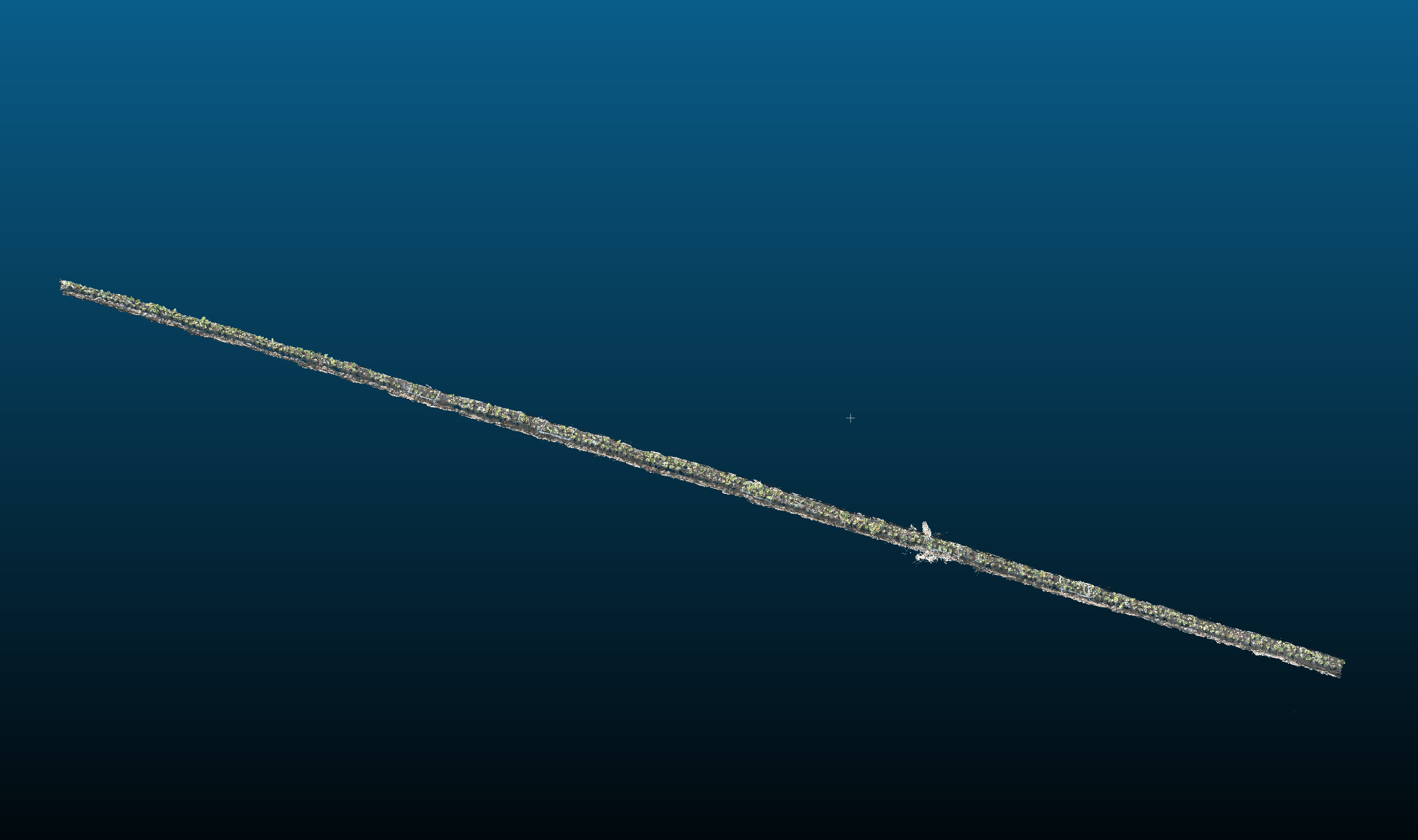 VGGT reconstruction overlay on a full strawberry field