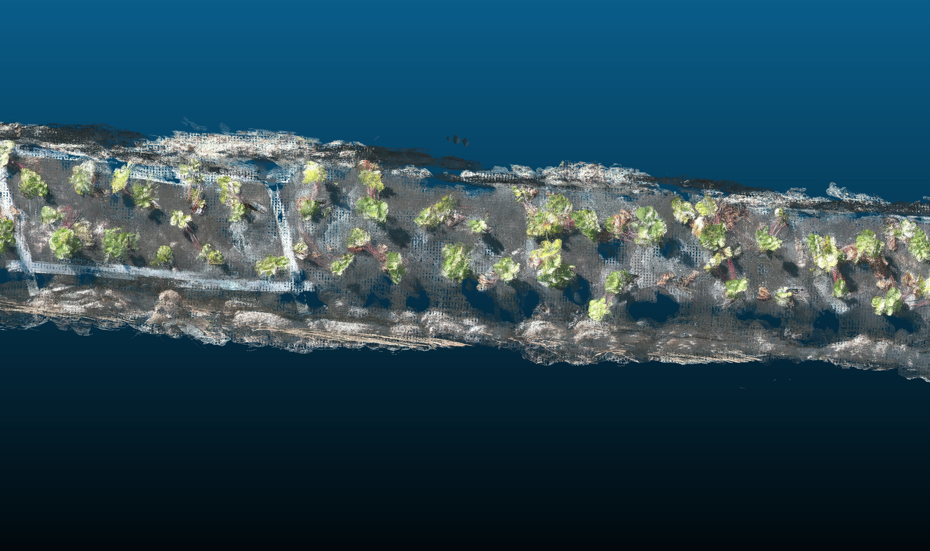 Zoom-in of submap alignment